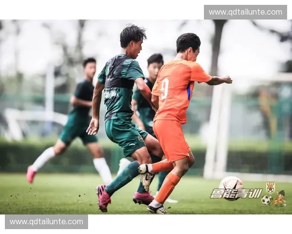 山东鲁能最新赛程表解析 逐场分析助您全面掌握球队战绩走势